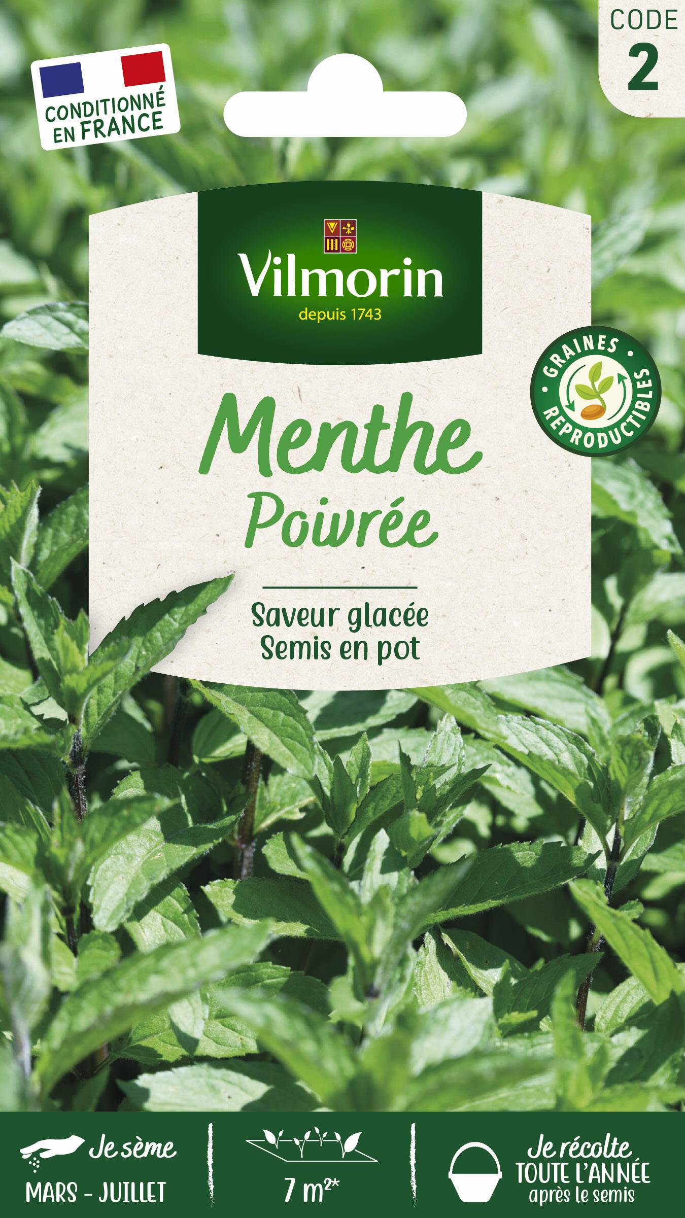 Vilmorin - Menthe poivrée série 2 sachet graines 0,3 g - Vilmorin - Image 3