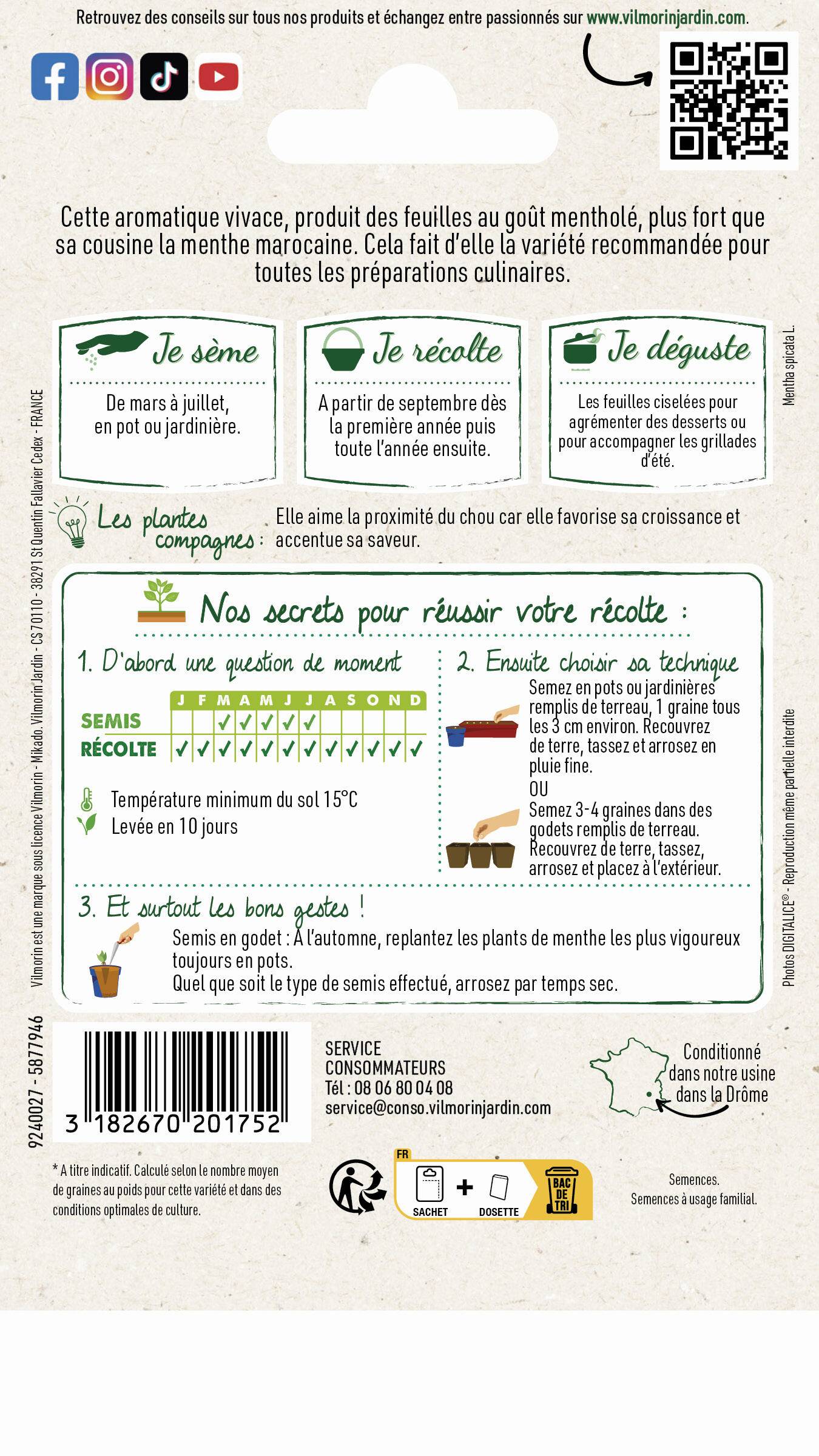 Vilmorin - Menthe poivrée série 2 sachet graines 0,3 g - Vilmorin - Image 4