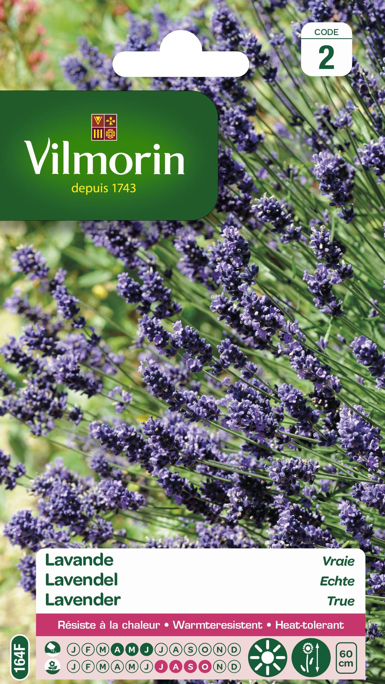 Vilmorin - Lavande Vraie serie 2 sachet graines 1,5 g - Vilmorin - Image 1