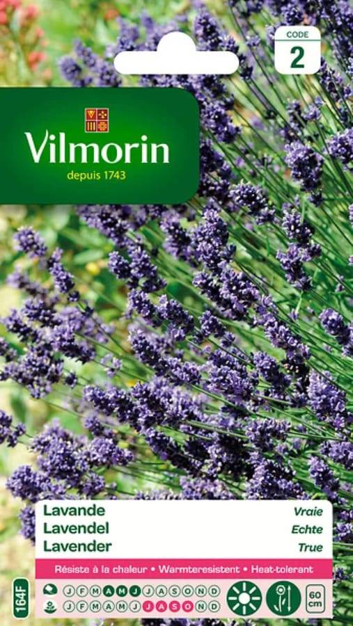 Vilmorin - Lavande Vraie serie 2 sachet graines 1,5 g - Vilmorin - Image 3