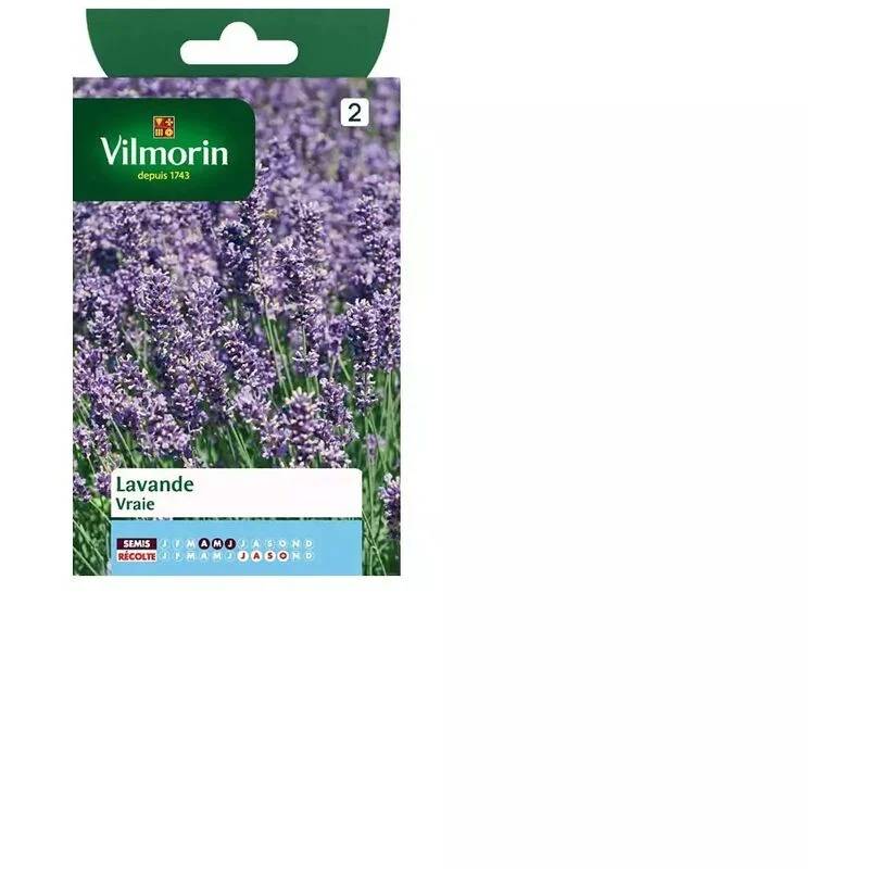 Vilmorin - Lavande Vraie serie 2 sachet graines 1,5 g - Vilmorin - Image 4
