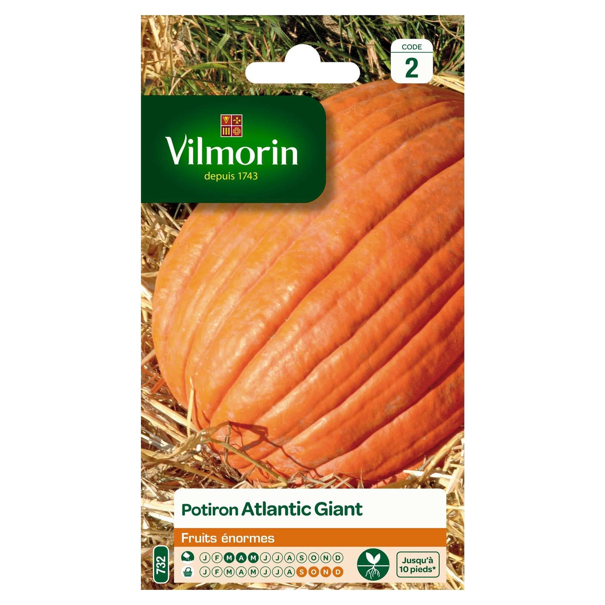 Vilmorin - Potiron Atlantic Giant fruits énormes série 2 sachet graines 3 g - Vilmorin - Image 1