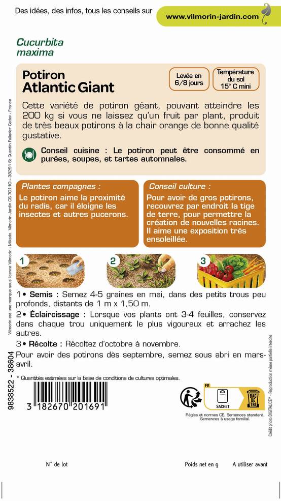 Vilmorin - Potiron Atlantic Giant fruits énormes série 2 sachet graines 3 g - Vilmorin - Image 3