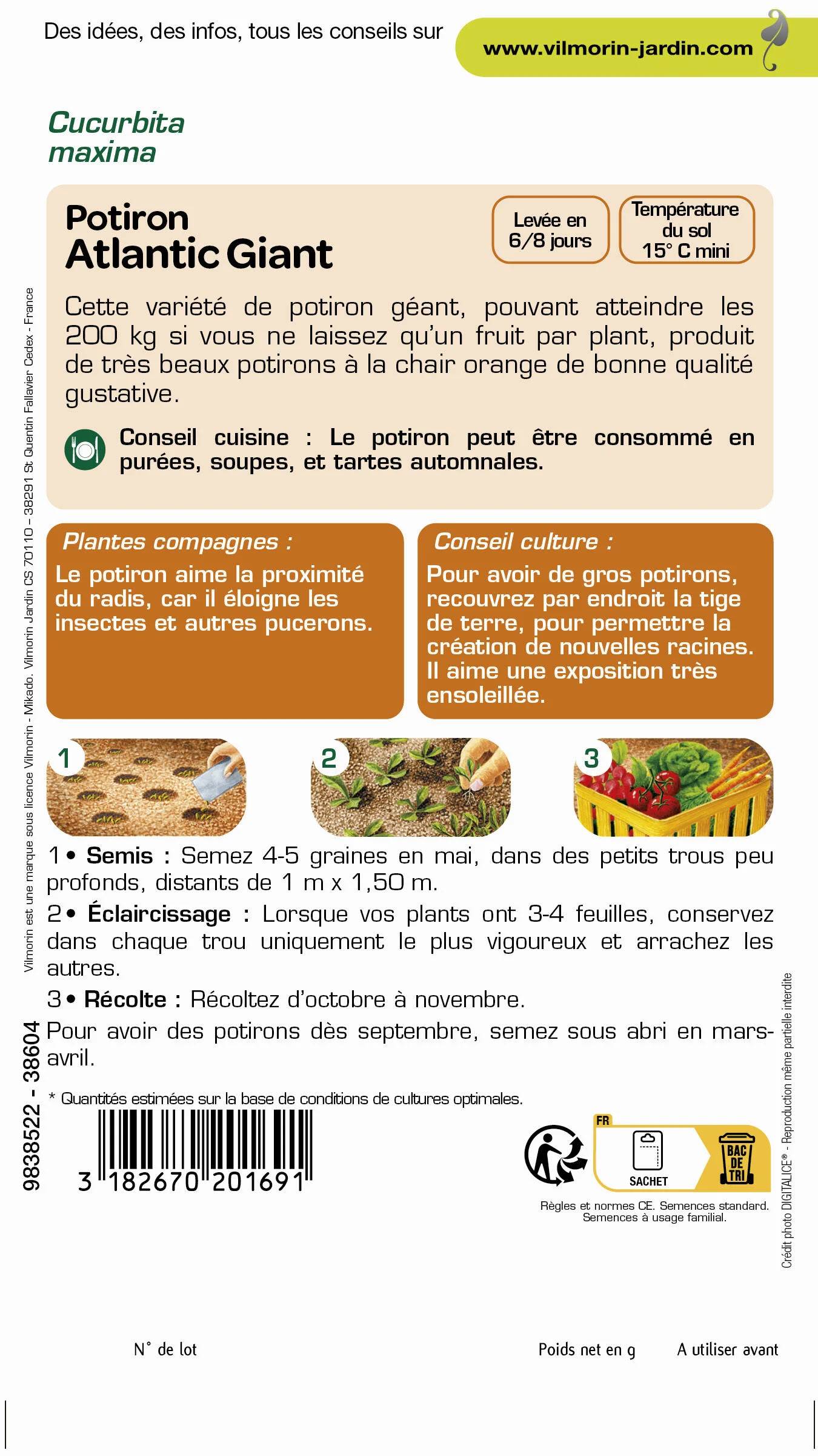 Vilmorin - Potiron Atlantic Giant fruits énormes série 2 sachet graines 3 g - Vilmorin - Image 3