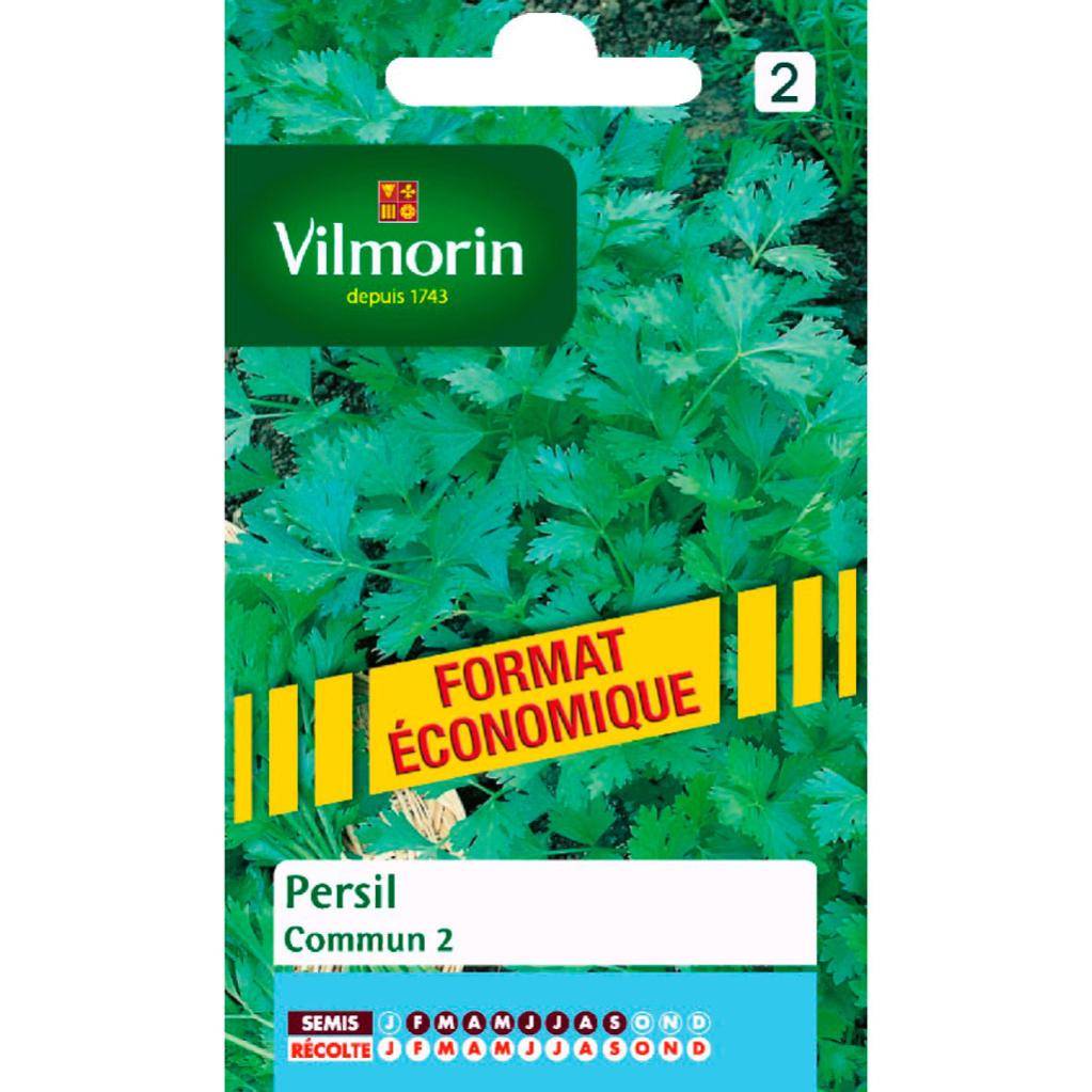 Vilmorin - Persil à feuilles commun 2 format éco série 2 sachet graines 15 g - Vilmorin - Image 2