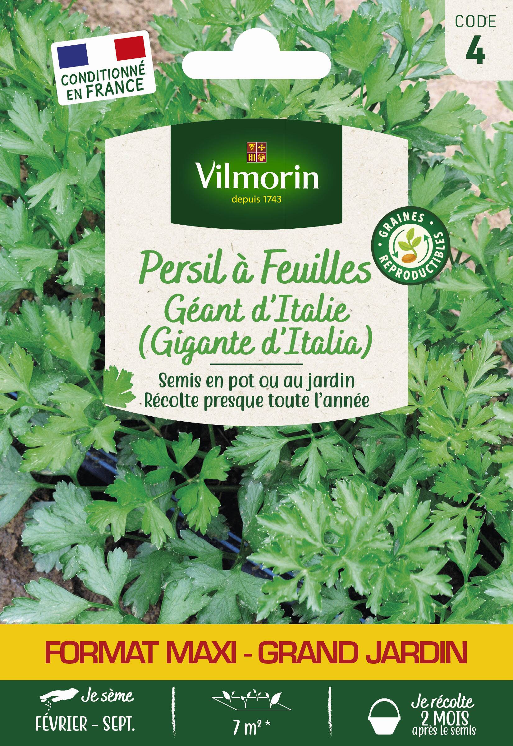 Vilmorin - Persil à feuilles géant d'Italie grand jardin série 4 sachet graines 12 g - Vilmorin - Image 1