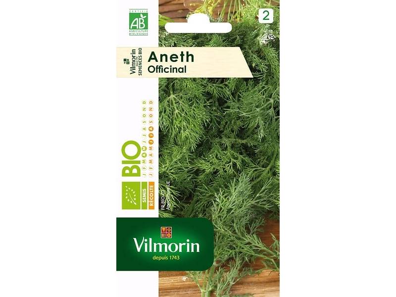 Vilmorin - Aneth a feuilles denses Bio série 2 sachet graines 2,5 g - Vilmorin - Image 2