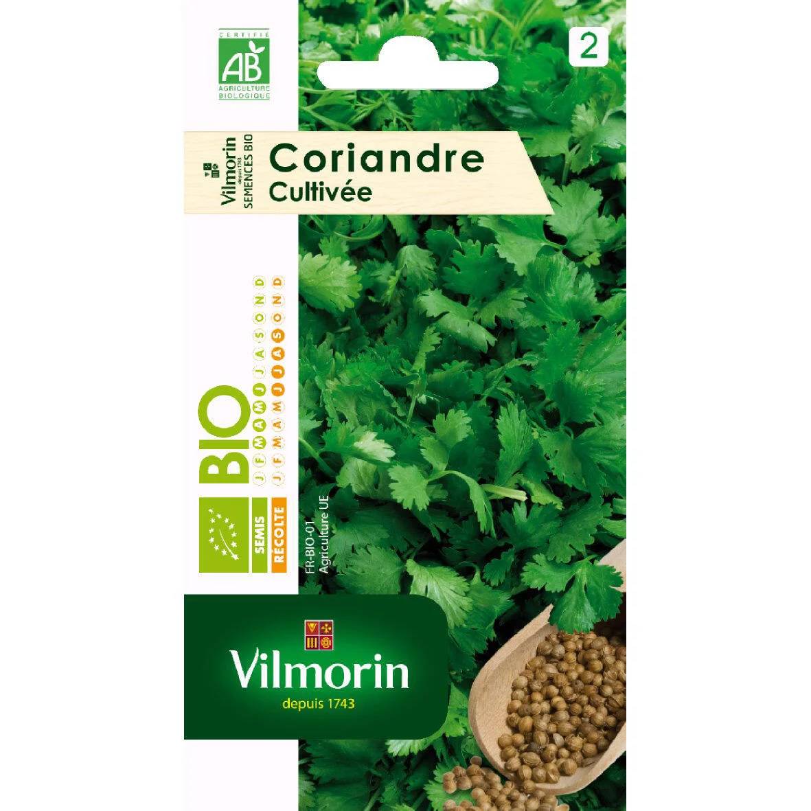 Vilmorin - Coriandre Bio série 2 sachet graines 0,5 g - Vilmorin - Image 1