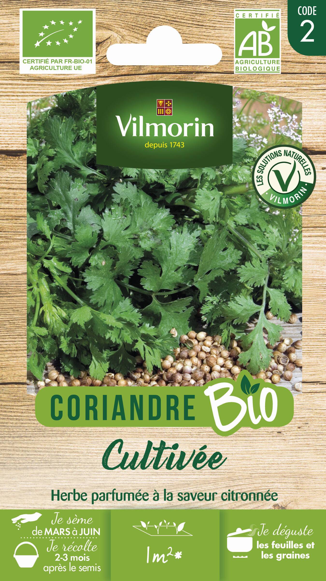 Vilmorin - Coriandre Bio série 2 sachet graines 0,5 g - Vilmorin - Image 2