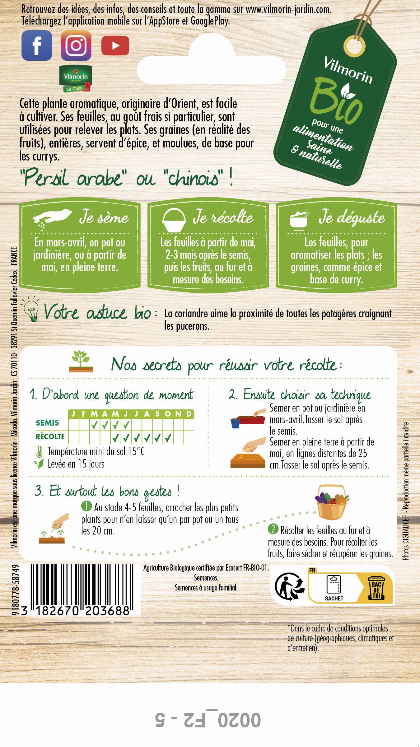 Vilmorin - Coriandre Bio série 2 sachet graines 0,5 g - Vilmorin - Image 3