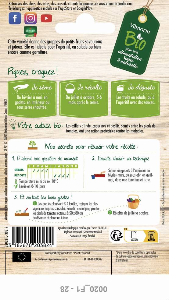 Vilmorin - Tomate cerise Bio série 2 sachet graines 0,2 g - Vilmorin - Image 2