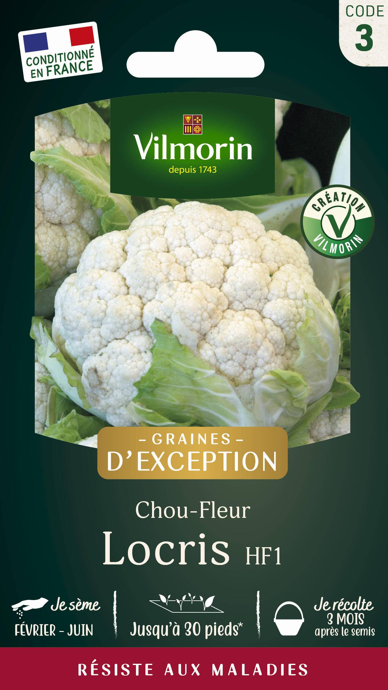 Vilmorin - Chou-Fleur Locris HF1 serie 3 sachet graines 0,5 g - Vilmorin - Image 1