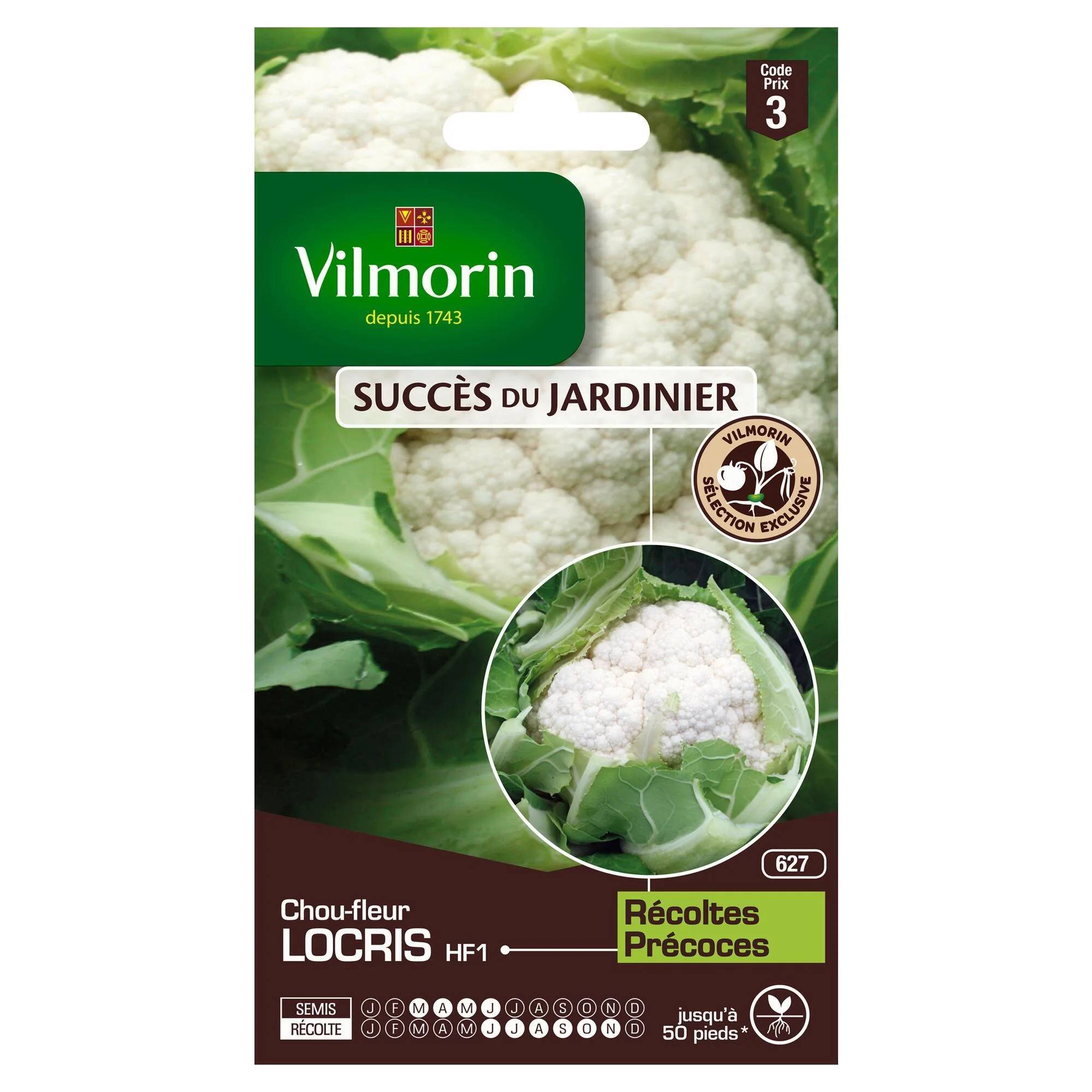 Vilmorin - Chou-Fleur Locris HF1 serie 3 sachet graines 0,5 g - Vilmorin - Image 2