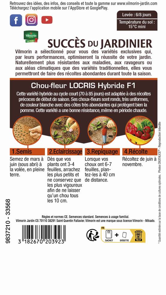Vilmorin - Chou-Fleur Locris HF1 serie 3 sachet graines 0,5 g - Vilmorin - Image 3