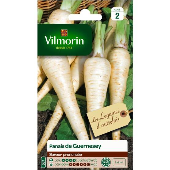 Vilmorin - Panais de Guernesey série 2 sachet graines 9 g - Vilmorin - Image 3