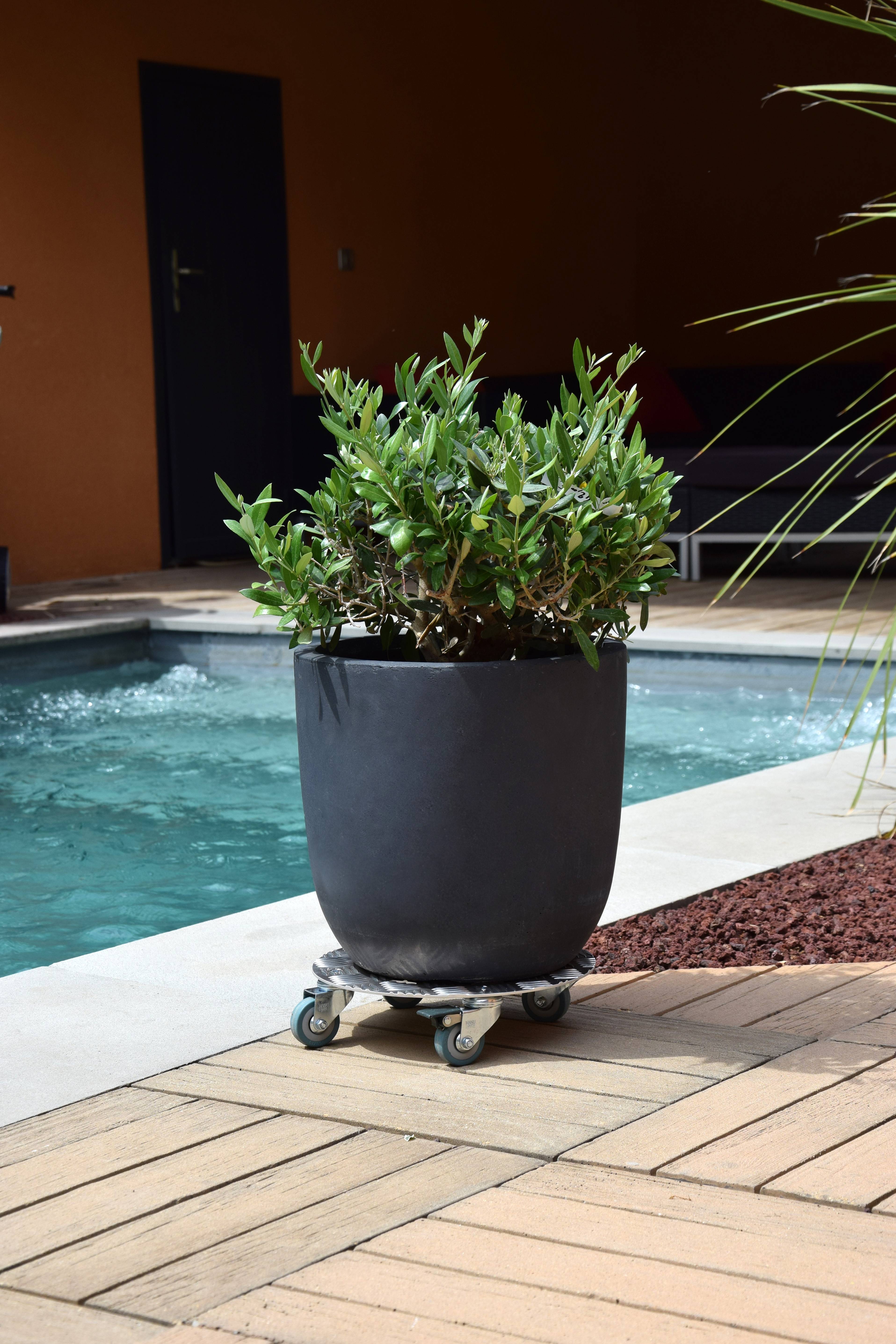 Louis Moulin - Roule Plante Rond Aluminium – LOUIS MOULIN - Image 2