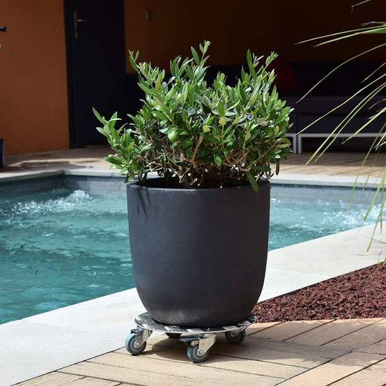 Louis Moulin - Roule Plante Rond Aluminium – LOUIS MOULIN - Image 4