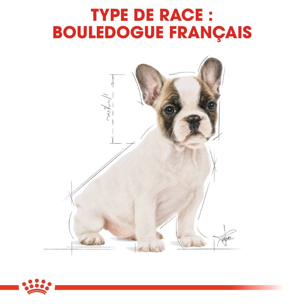 Royal Canin - Croquettes Chien Bouledogue Français - ROYAL CANIN - Image 5