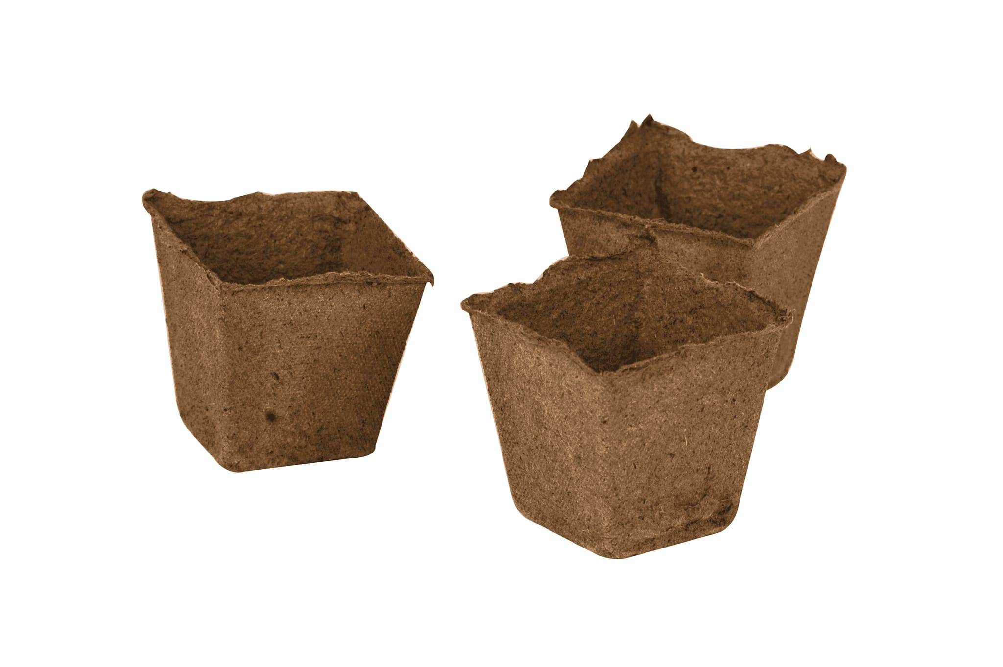 Jany France - Godets de culture 6cm carres - L.6 x l.6 x H.10 cm - Image 2