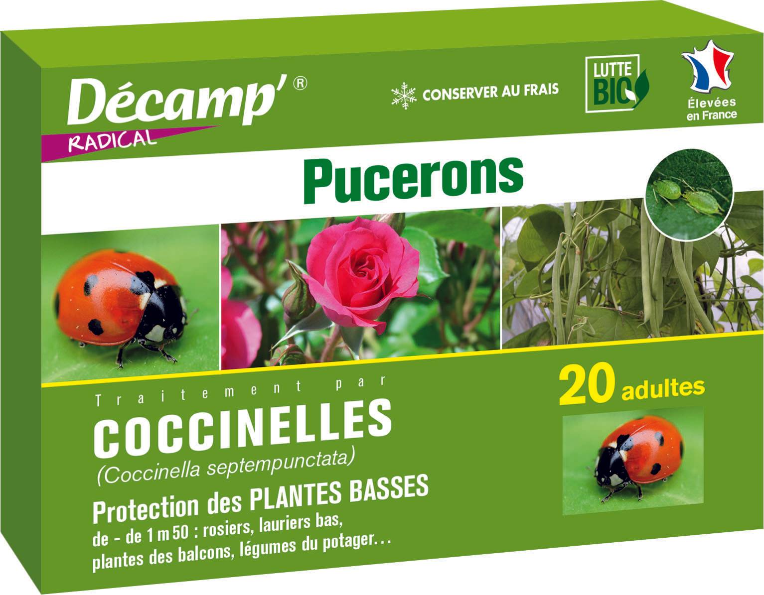 CONTRE LES MOUCHES
DES TERREAUX - Image 1