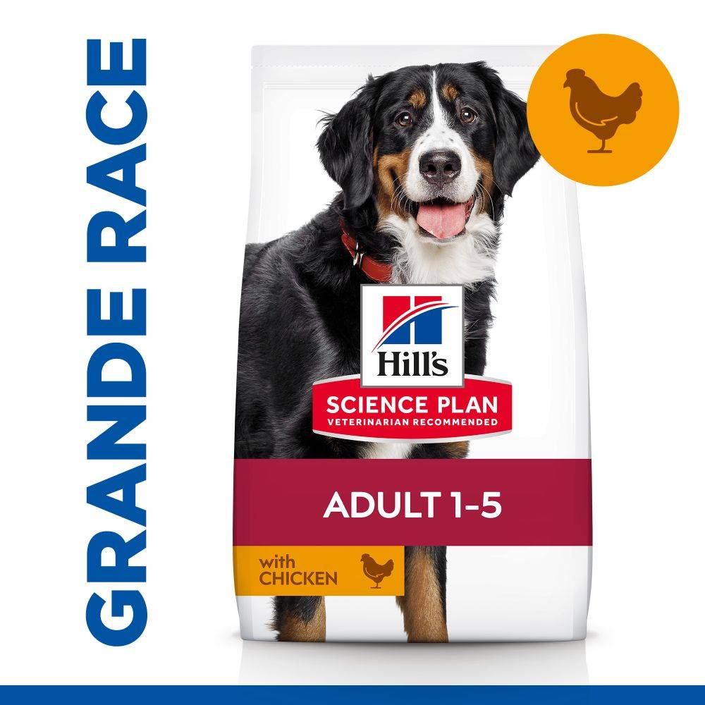 Science plan - Croquettes Chien Adulte Large Breed Poulet – HILL'S - Image 3