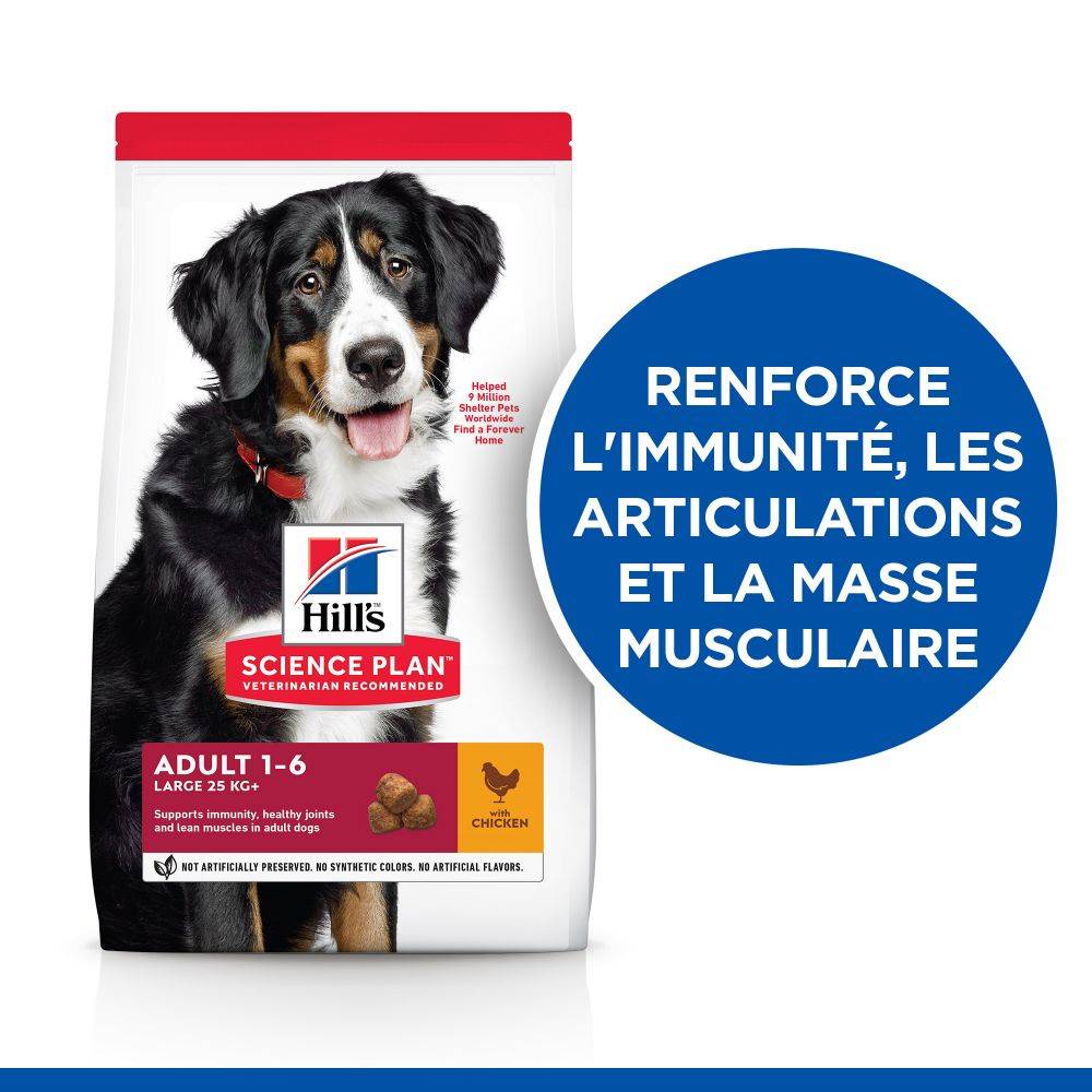 Science plan - Croquettes Chien Adulte Large Breed Poulet – HILL'S - Image 7
