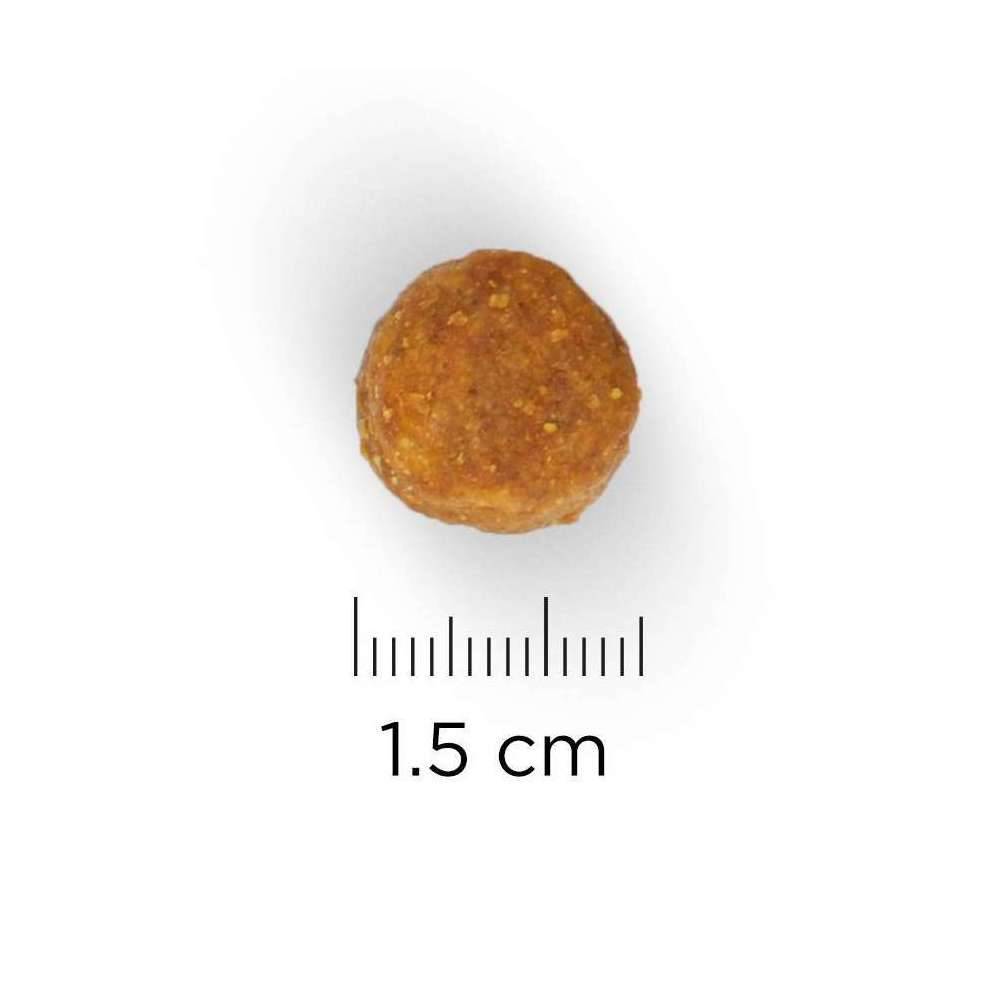 Science plan - Croquettes Chien Adulte Large Breed Poulet – HILL'S - Image 11
