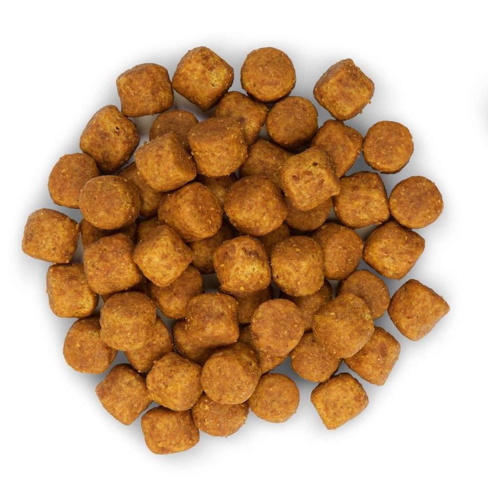 Science plan - Croquettes Chien Adulte Large Breed Poulet – HILL'S - Image 10