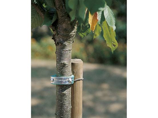 Nortène - Collier mousse vert 60 cm – NORTENE - Image 1