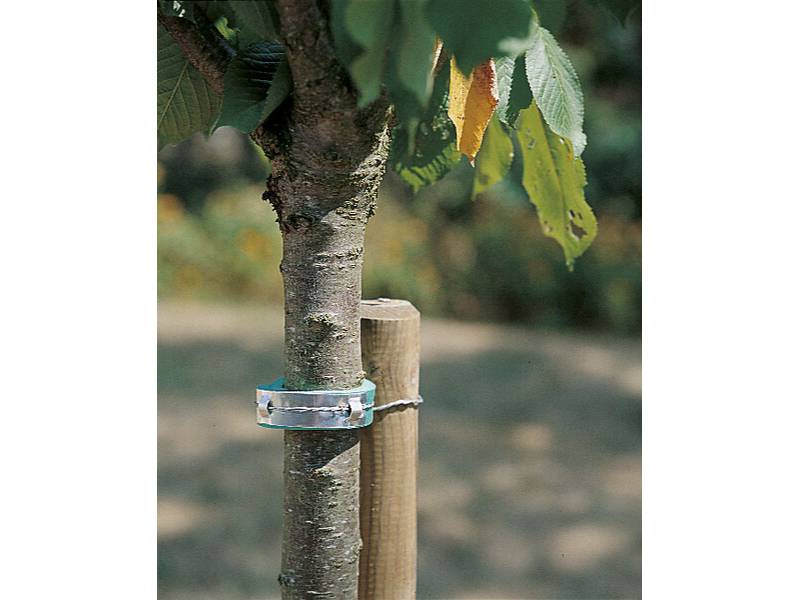 Nortène - Collier mousse vert 60 cm – NORTENE - Image 1
