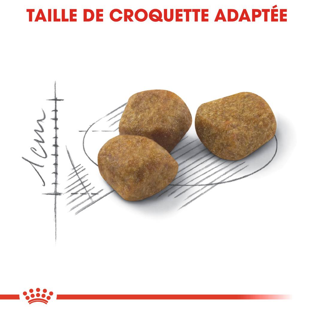 Royal Canin - Croquettes Chat Indoor7+ – ROYAL CANIN - Image 3