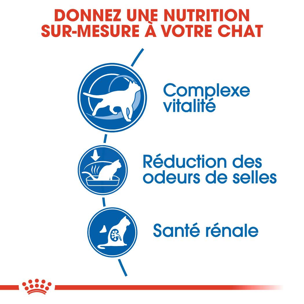 Royal Canin - Croquettes chat Indoor7+ ROYAL CANIN - Image 2