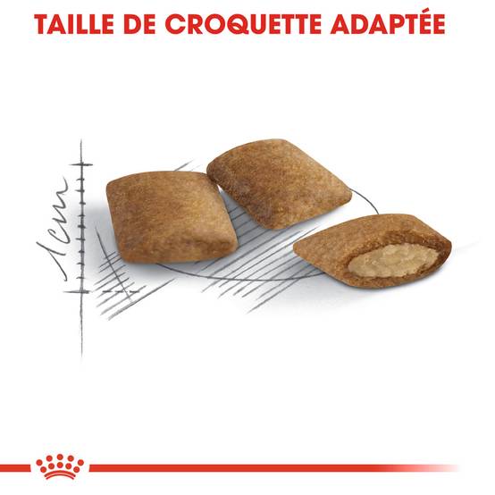 Royal Canin - Croquettes chat sénior ROYAL CANIN - Image 3