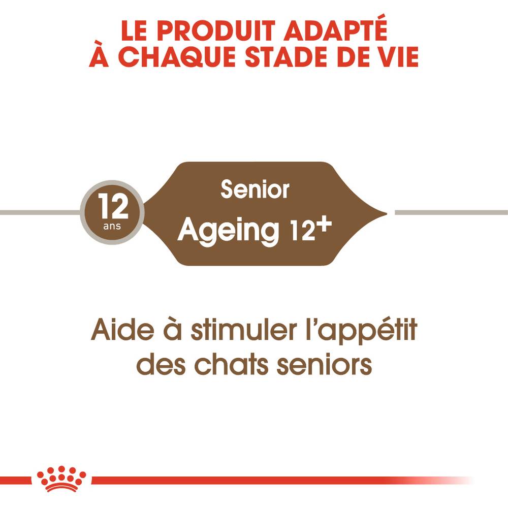 Royal Canin - Croquettes chat sénior ROYAL CANIN - Image 6