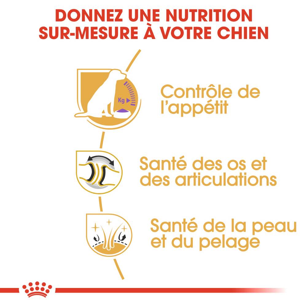 Royal Canin - Croquettes Chien Stérilisé Labrador Retriever Adulte - ROYAL CANIN - Image 8