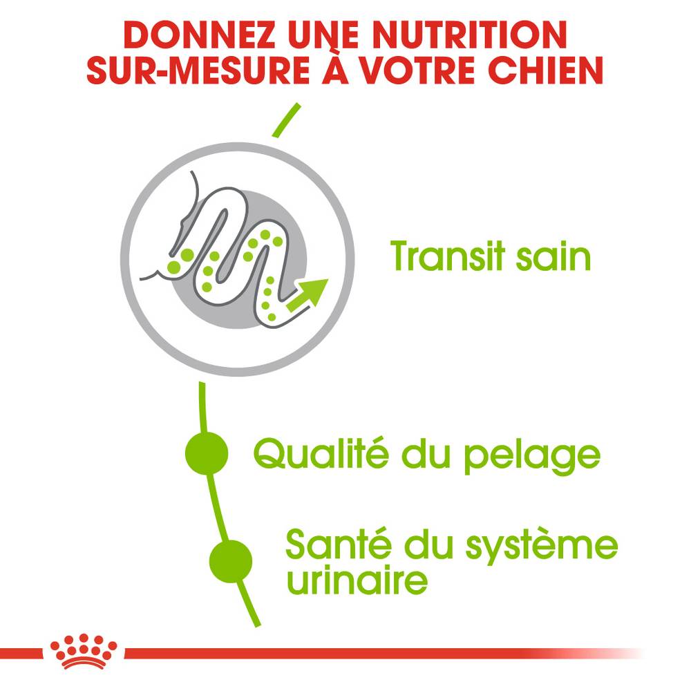 Royal Canin - Croquettes Chien X-Small Adult - ROYAL CANIN - Image 7