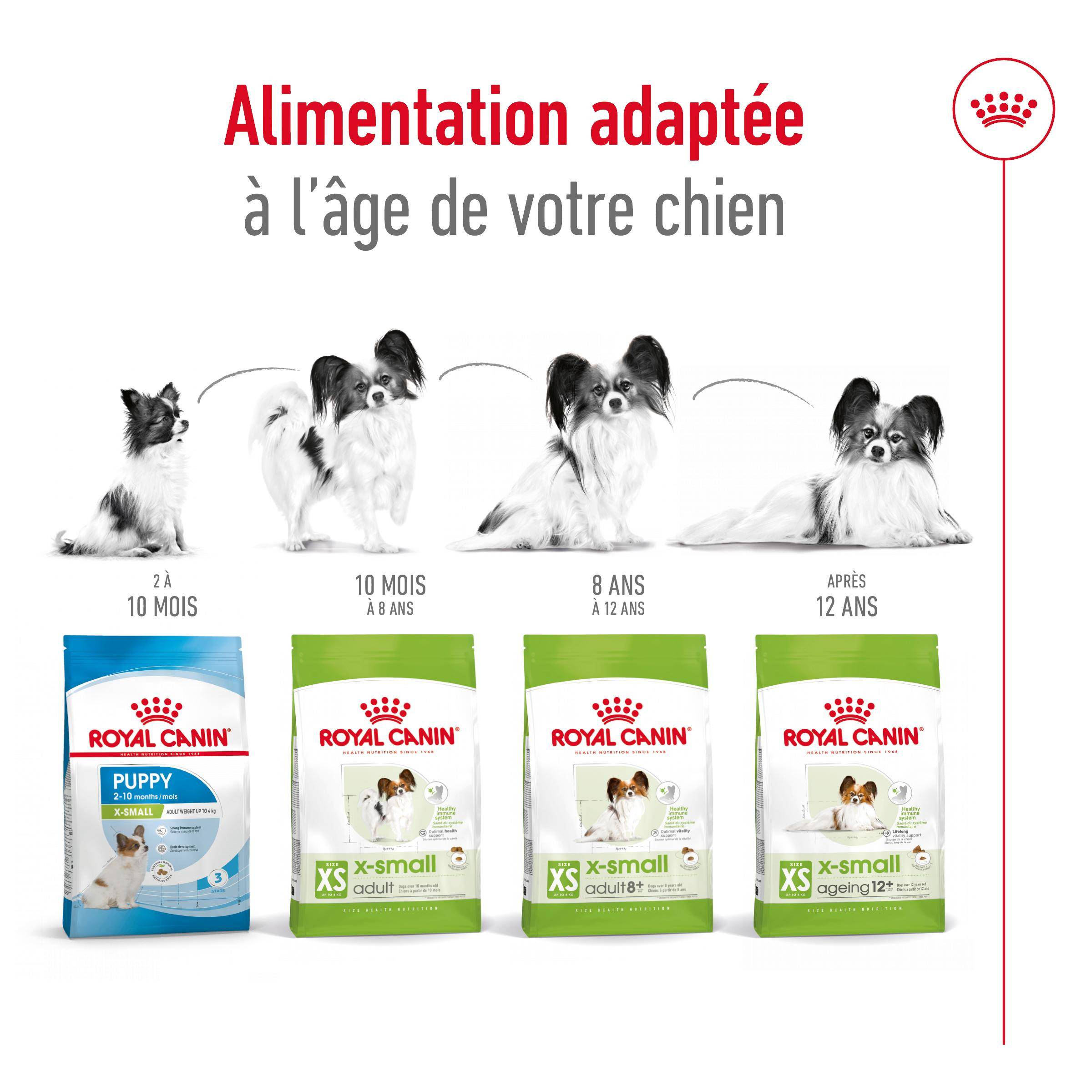 Royal Canin - Croquettes Chien X-Small Adult - ROYAL CANIN - Image 16