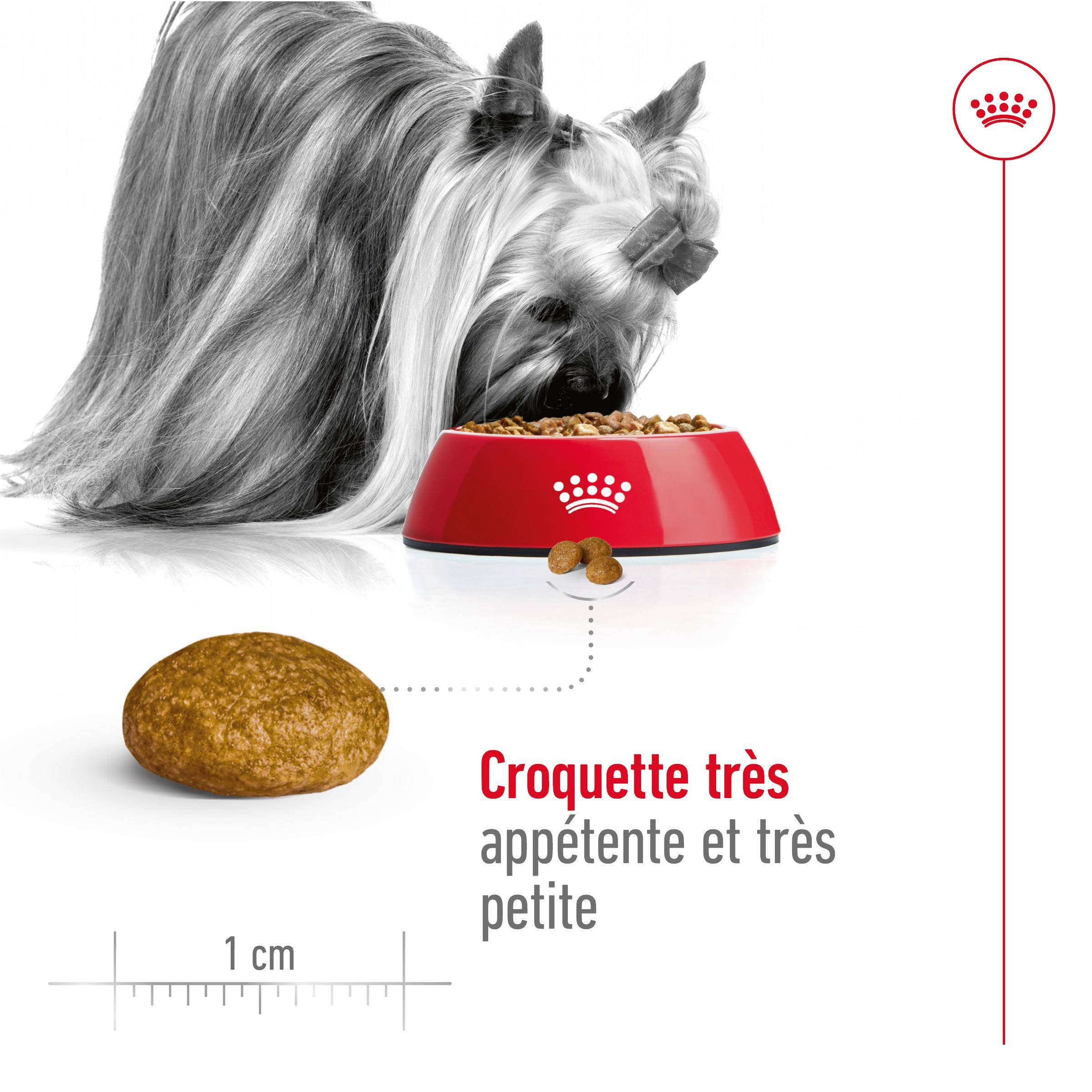 Royal Canin - Croquettes Chien X-Small Adult - ROYAL CANIN - Image 19
