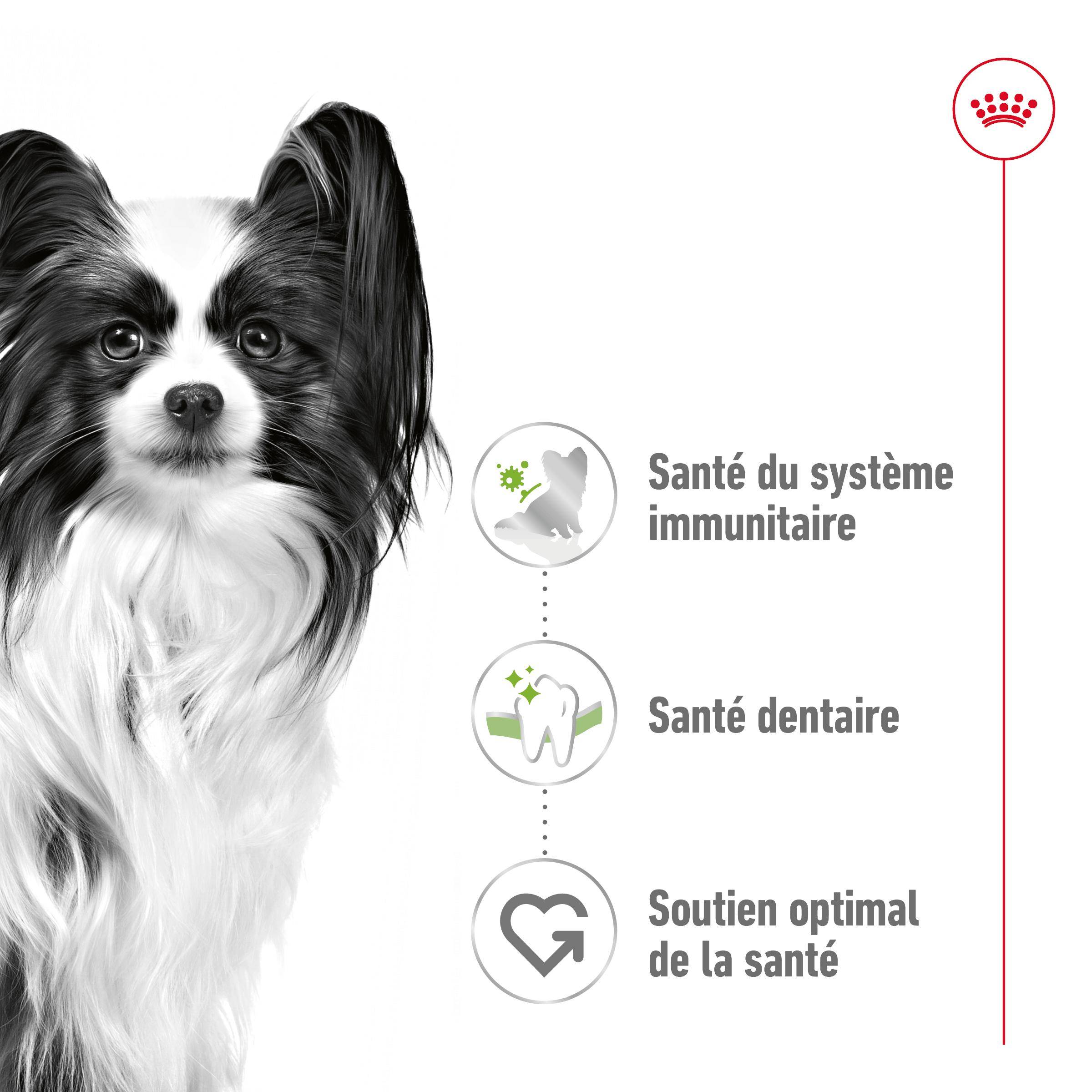 Royal Canin - Croquettes Chien X-Small Adult - ROYAL CANIN - Image 9