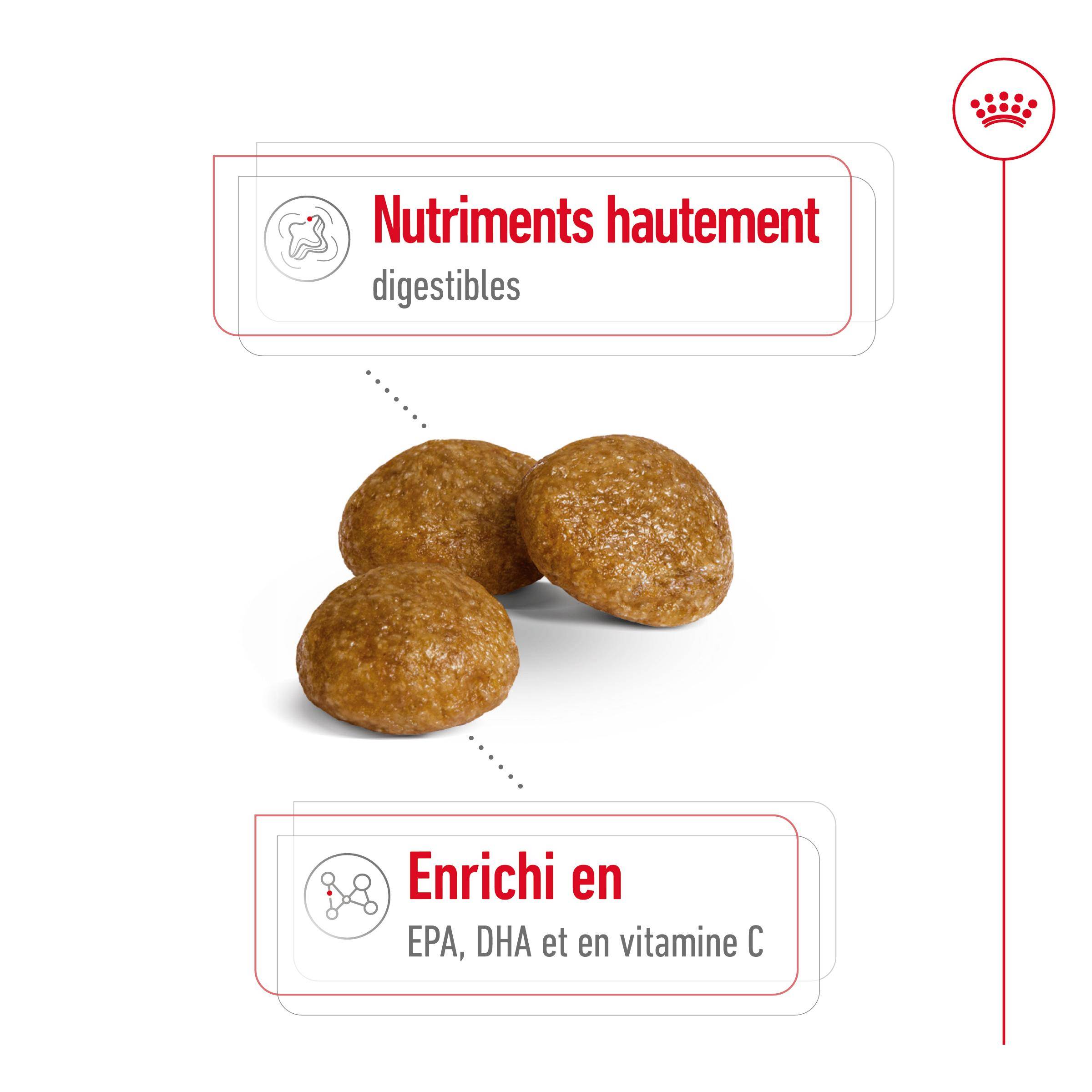 Royal Canin - Croquettes Chien X-Small Adult - ROYAL CANIN - Image 13
