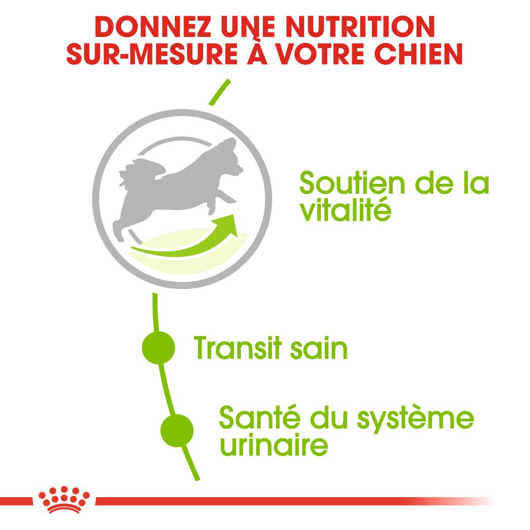 Royal Canin - Croquettes Chien Très Petite Taille +8 Ans – ROYAL CANIN - Image 9