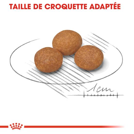 Royal Canin - Croquettes Chien Très Petite Taille +8 Ans – ROYAL CANIN - Image 4