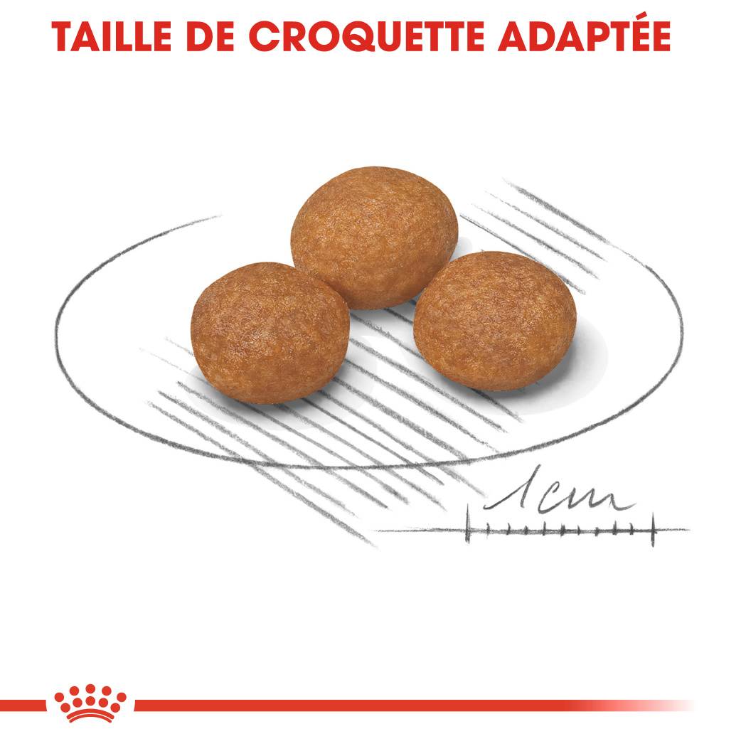 Royal Canin - Croquettes Chien Très Petite Taille +8 Ans – ROYAL CANIN - Image 4