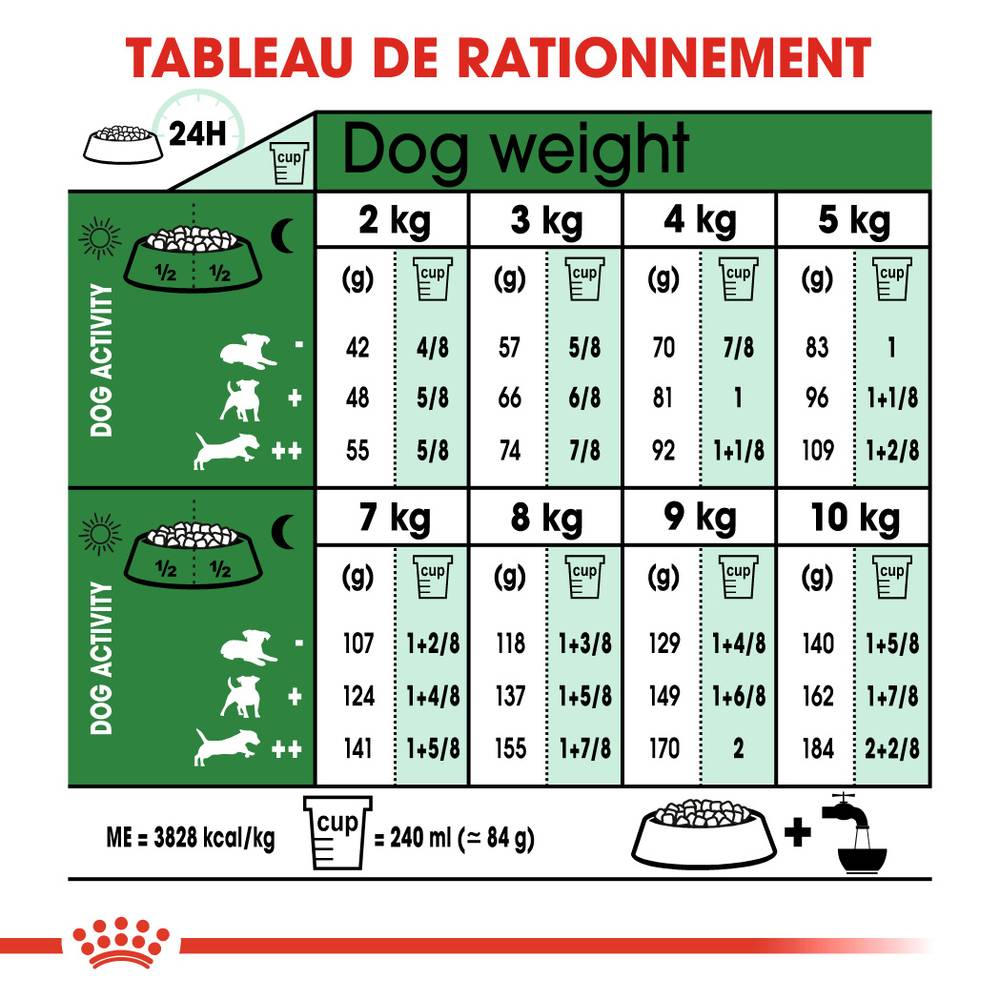 Royal Canin - Croquettes Chien Mini Ageing 12+ - ROYAL CANIN - Image 2