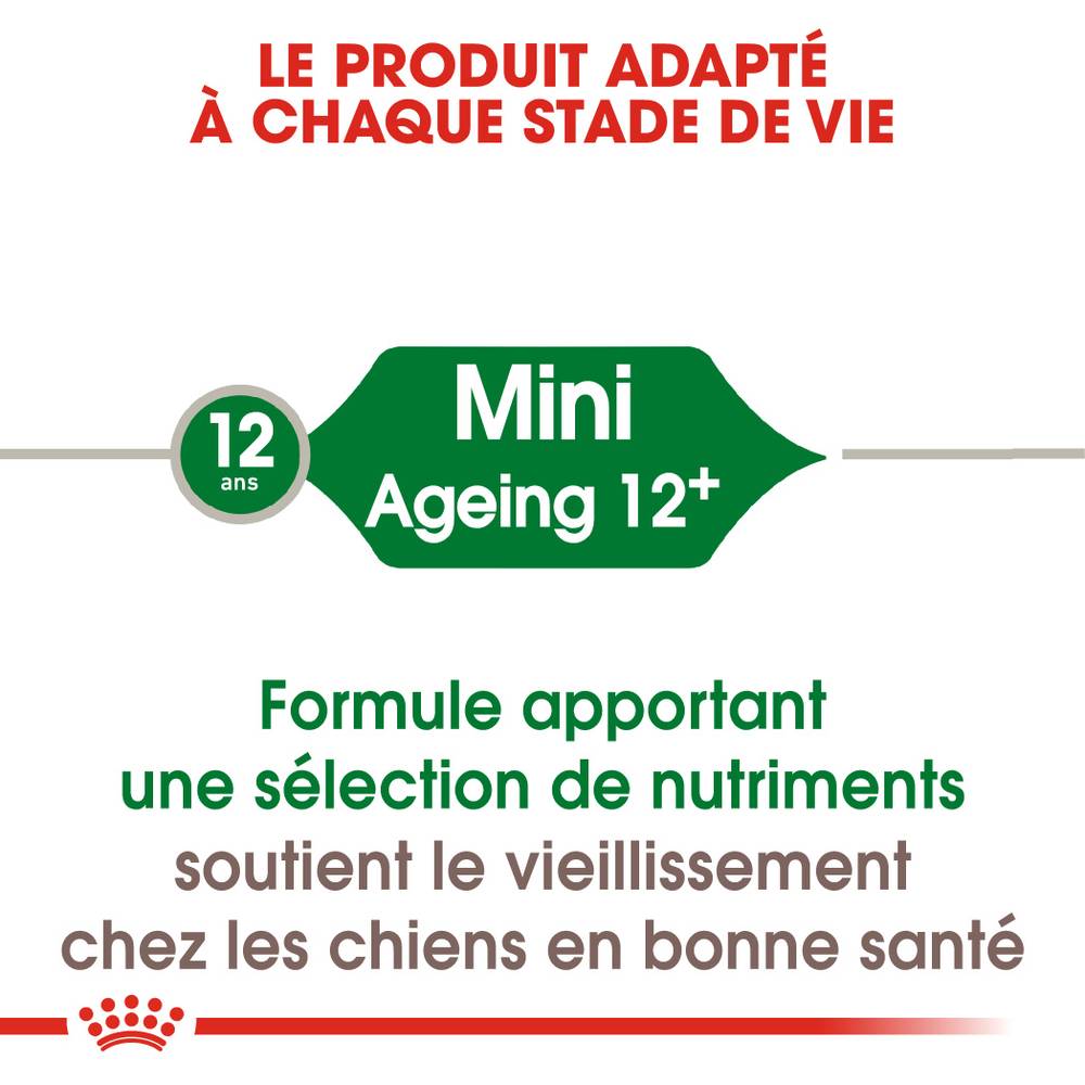 Royal Canin - Croquettes Chien Mini Ageing 12+ - ROYAL CANIN - Image 3