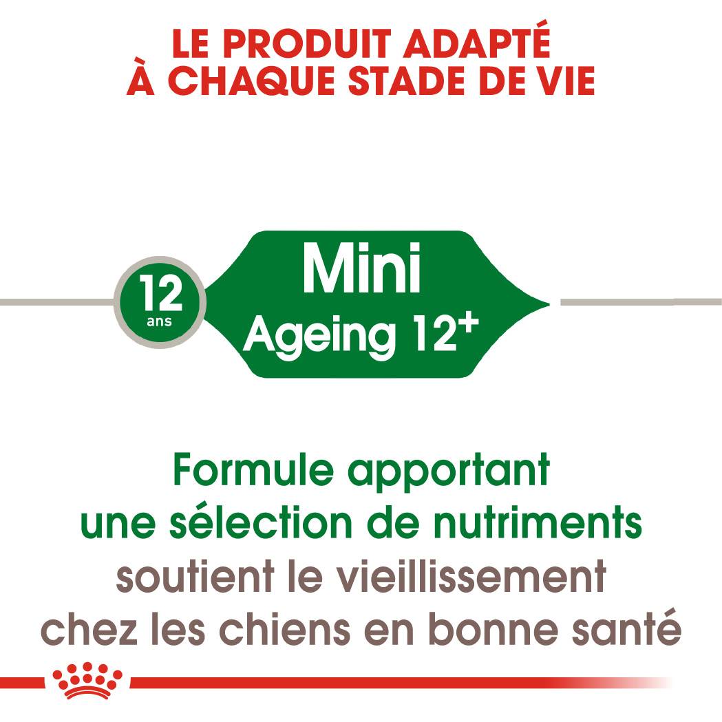 Royal Canin - Croquettes chien Mini Ageing 12+ - ROYAL CANIN - Image 5