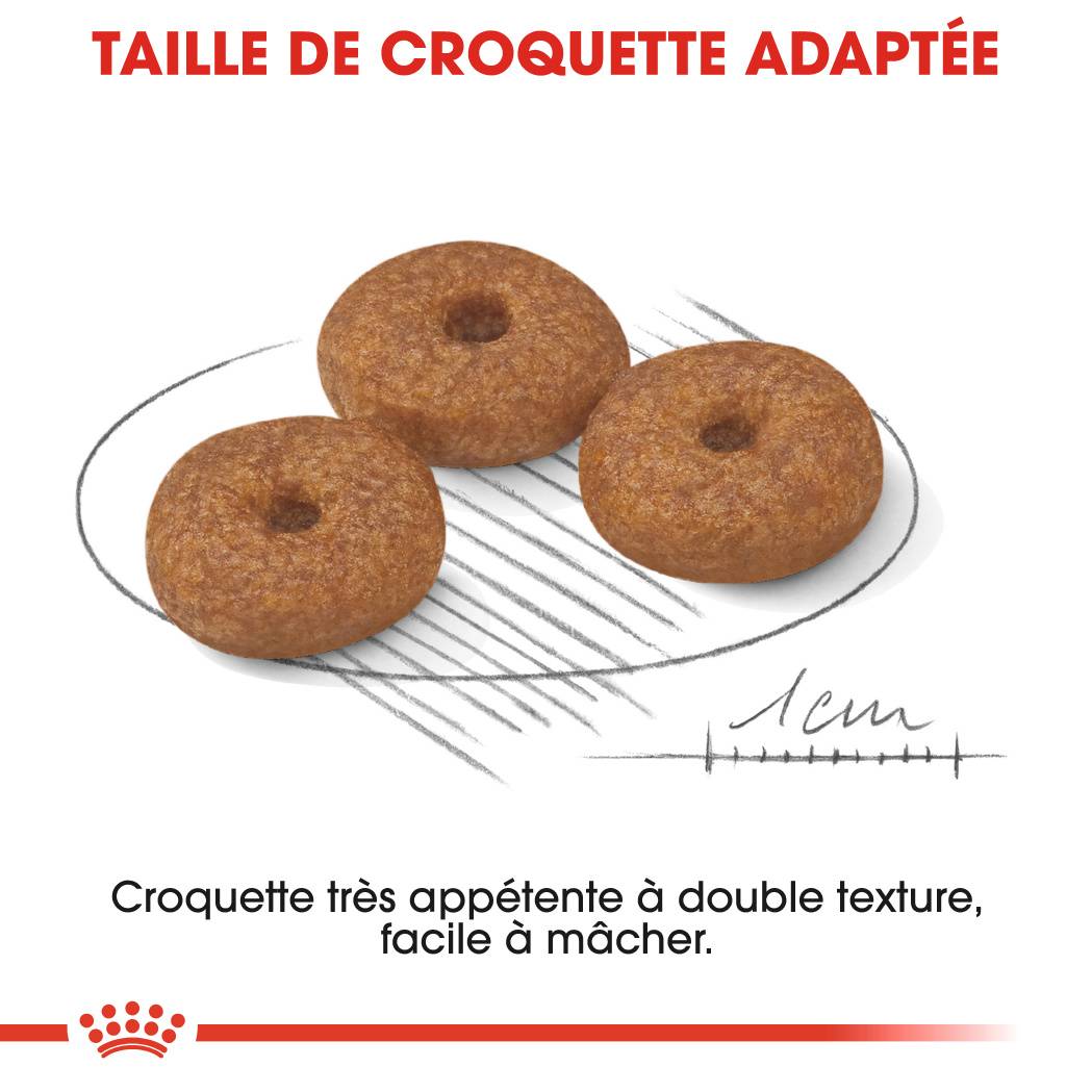 Royal Canin - Croquettes chien Mini Ageing 12+ - ROYAL CANIN - Image 11