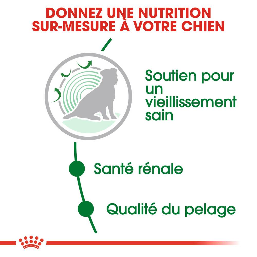 Royal Canin - Croquettes chien Mini Ageing 12+ - ROYAL CANIN - Image 2