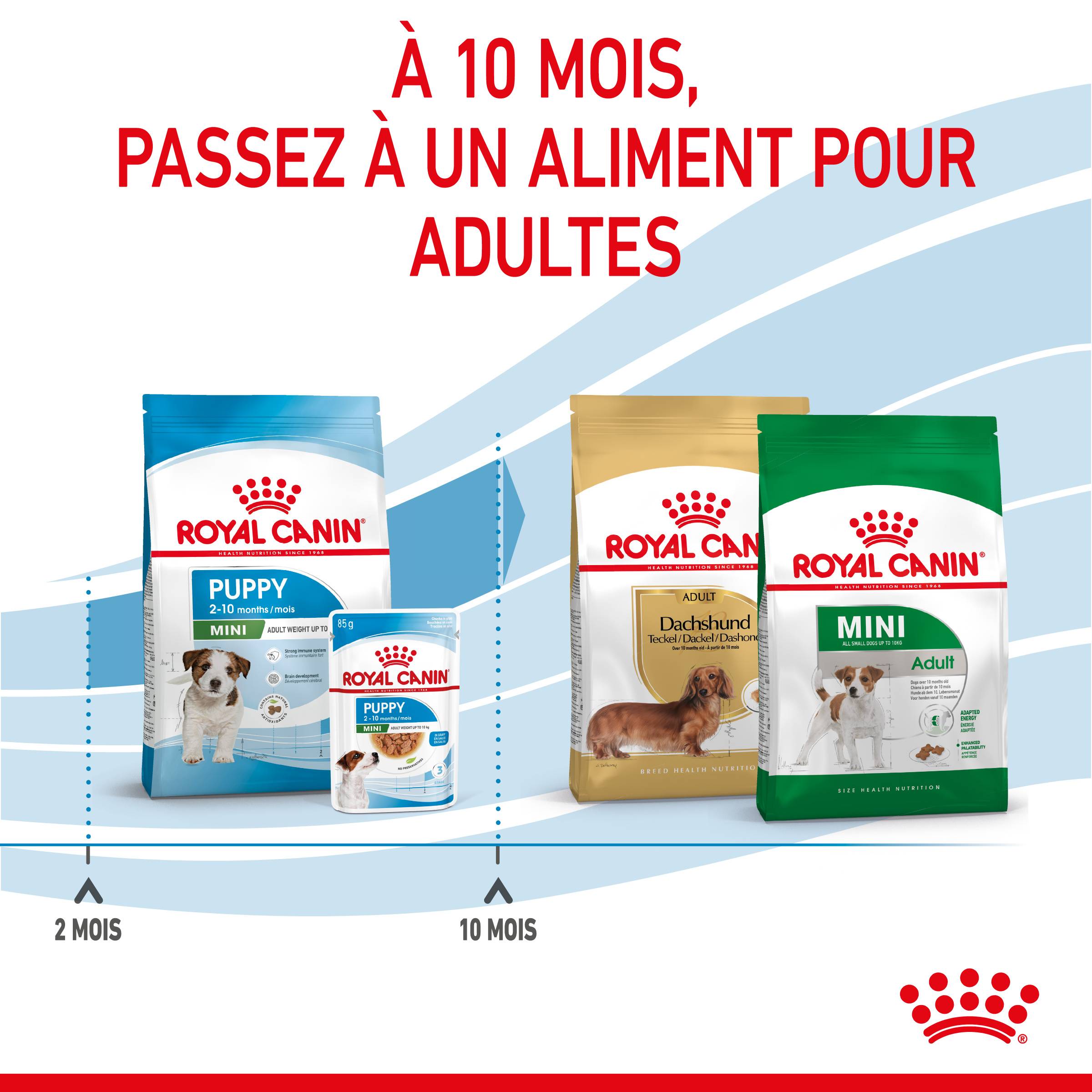 Royal Canin - Royal Canin - Croquettes pour chiot Puppy Mini 8 kg - Image 10