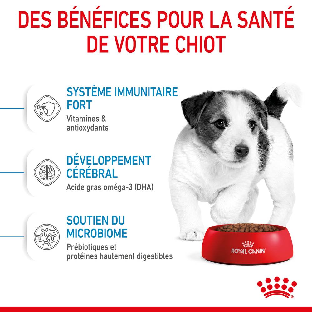 Royal Canin - Royal Canin - Croquettes pour chiot Puppy Mini 8 kg - Image 12